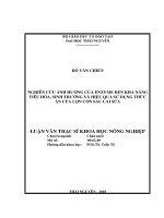 Nghiên cứu ảnh hưởng của enzyme đến khả năng tiêu hóa, sinh trưởng và hiệu quả sử dụng thức ăn của lợn con giai đoạn sau cai sữa 