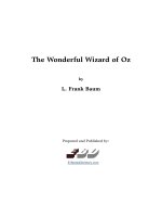 top truyện tiếng anh nên đọc The wonderful wizard of oz