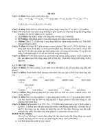 đề thi hóa 11 học kỳ 2