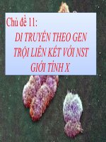 Di truyền gen troi lien ket gioi tinh X