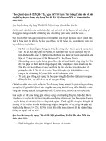 CHIẾN LƯỢC PHÁT TRIỂN GIAO THÔNG HÀ NỘI 2030