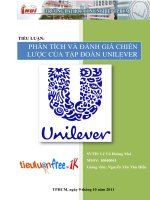 Phân tích và đánh giá chiến lược của tập đoàn unilever
