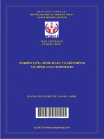 Nghiên cứu, tính toán và mô phỏng vỏ bình gas Composite