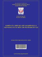 Nghiên cứu, thiết kế, chế tạo khớp mắt cá chân bằng cơ cấu mềm cho người khuyết tật