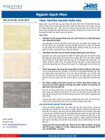 Báo cáo mới nhất ngành gạch mẹn việt nam 14/4/2016