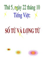 Ngu van 6: So tu va luong tu