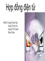 Thuyết trình môn thương mại điện tử hợp đồng điện tử 
