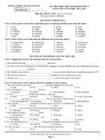 Đề tham khảo thi chọn HSG tiếng anh 9