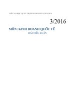 Tiểu luận môn kinh doanh quốc tế marketing toàn cầu nghiên cứu và phát triển 