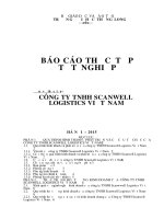 Báo cáo thực tập Logistics: Scanwell Logistics Việt Nam