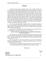 Phân Tích Những Biện Pháp Để Khôi Phục Và Phát Triển Kinh Tế Hàng Hoá Ở Nước Ta Hiện Nay