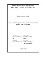 NÂNG CAO NĂNG LỰC CẠNH TRANH CỦA CÔNG TY TNHH LIÊN KẾT ĐẦU TƯ LIVABIN