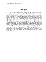 Tiểu Luận Kinh Tế Chính Trị Thực Trạng Và Thách Thức Cho Nền Nông Nghiệp Việt Nam