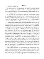 đánh giá tác động môi trường ĐTM dự án xây DỰNG NHÀ máy sản XUẤT NÔNG dược TSC