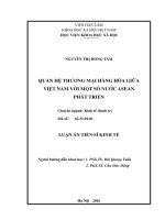 Quan hệ thương mại hàng hóa giữa việt nam với một số nước ASEAN phát triển 