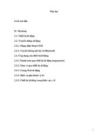 Tiểu luận môn thương mại điện tử ứng dụng của thiết bị di động 