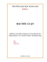 Tiểu luận những vấn đề cơ bản về tài trợ xuất nhập khẩu của ngân hàng thương mại 