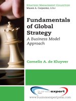 Fundamentals of global strategy a business model approach