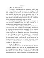 Mua lại và sát nhập (ma) trong lĩnh vực ngân hàng ở một số nước trên thế giới và bài học cho việt nam giai đoạn 1990   2010 tt 