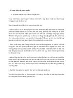 Tiểu luận môn lãnh đạo kỹ năng phân cấp phân quyền 