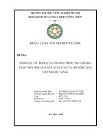 ĐÁNH GIÁ tác ĐỘNG của CHƯƠNG TRÌNH “BA GIẢM BA TĂNG” đến HIỆU QUẢ sản XUẤT lúa của hộ NÔNG dân tại TỈNH bắc GIANG