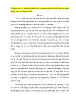 Giải pháp của các hiệp hội nhằm hỗ trợ và nâng cao năng lực thích ứng của doanh nghiệp trước tác động của TPP