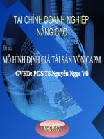 đề tài mô hình định giá tài sản vốn capm