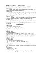 Đề thi Học kì II môn Ngữ văn - Lớp 7