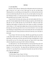 Xây dựng chiến lược marketing cho công ty pepsico việt nam