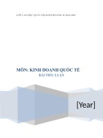 Tiểu luận kinh doanh quốc tế marketing toàn cầu nghiên cứu và phát triển 