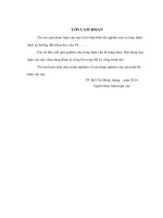 ẢNH HƯỞNG TRÁCH NHIỆM XÃ HỘI CỦA DOANH NGHIỆP ĐẾN HÀNH VI MUA CỦA NGƯỜI TIÊU DÙNG TẠI TP.HCM