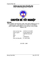 Phát Triển Thị Trường Tiêu Thụ Phần Mềm Quản Lý Khách Sạn - Nhà Hàng Của Công Ty Cổ Phần Phát Triển Phần Mềm Và Ứng Dụng Công Nghệ Thông Tin (ADSOFT-CORP)