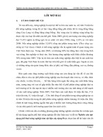 Đồ án nghiên cứu tận dụng phế phẩm nông nghiệp làm vật liệu xây dựng