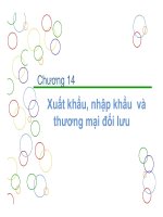 Thuyết trình môn kinh doanh quốc tế xuất khẩu nhập khẩu và thương mại đối lưu 