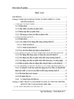 Sử Dụng Mô Hình Kinh Tế Lượng Phân Tích Tác Động Của Vốn Đầu Tư Phát Triển Tới Tăng Trưỏng Kinh Tế Việt Nam Giai Đoạn 2000- 2010