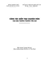 skkn CÔNG tác KIỂM TRA CHUYÊN môn của HIỆU TRƯỞNG TRƯỜNG TIỂU học 