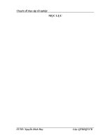 Phát Triển Hoạt Động Thanh Toán Quốc Tế Của Ngân Hàng Đầu Tư Và Phát Triển Việt Nam - Chi Nhánh Quang Trung