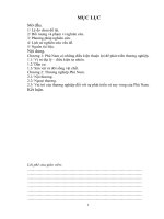 Thương nghiệp Phù Nam