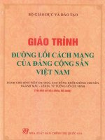 Thuyet trinh ve Tổng bí thư Trường Chinh  Đường lối Cách mạng Cộng sản