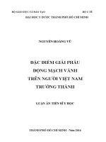 đặc điểm giải phẫu động mạch vành trên người việt nam trưởng thành 