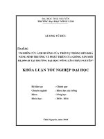 Nghiên cứu ảnh hưởng của thời vụ trồng đến khả năng sinh trưởng và phát triển của giống sắn mới HL2004 28 tại trường đại học nông lâm thái nguyên 
