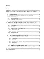 Khảo sát sự ức chế acetylcholinesterase trên sắc kí lớp mỏng