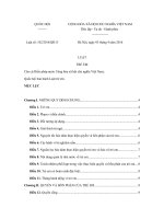 LUẬT TRẺ EM SỐ 1022016QH13