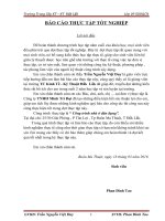 Báo cáo thực tập tốt nghiệp xây dựng