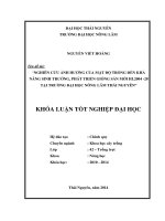 Nghiên cứu ảnh hưởng của mật độ trồng đến khả năng sinh trưởng, phát triển giống sắn mới HL2004 28 tại trường đại học nông lâm thái nguyên 