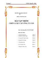 Tiểu luận môn quản trị chiến lược toàn cầu chiến lược cấp công ty con 