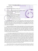 Tiểu luận môn quản trị chiến lược toàn cầu quản trị sự đổi mới và trí tuệ toàn cầu 