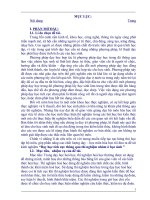 skkn MÔN HÓA Dạy học tích cực thông qua thí nghiệm nhóm ở học sinh