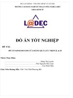 Đồ án kinh doanh cửa hàng quà lưu niệm 2l  h