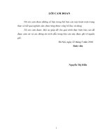 Nghiên cứu hoạt động và ảnh hưởng của tài chính vi mô trong giảm nghèo và phát triển cộng đồng tại một số xã thuộc huyện Đô Lương, tỉnh Nghệ An